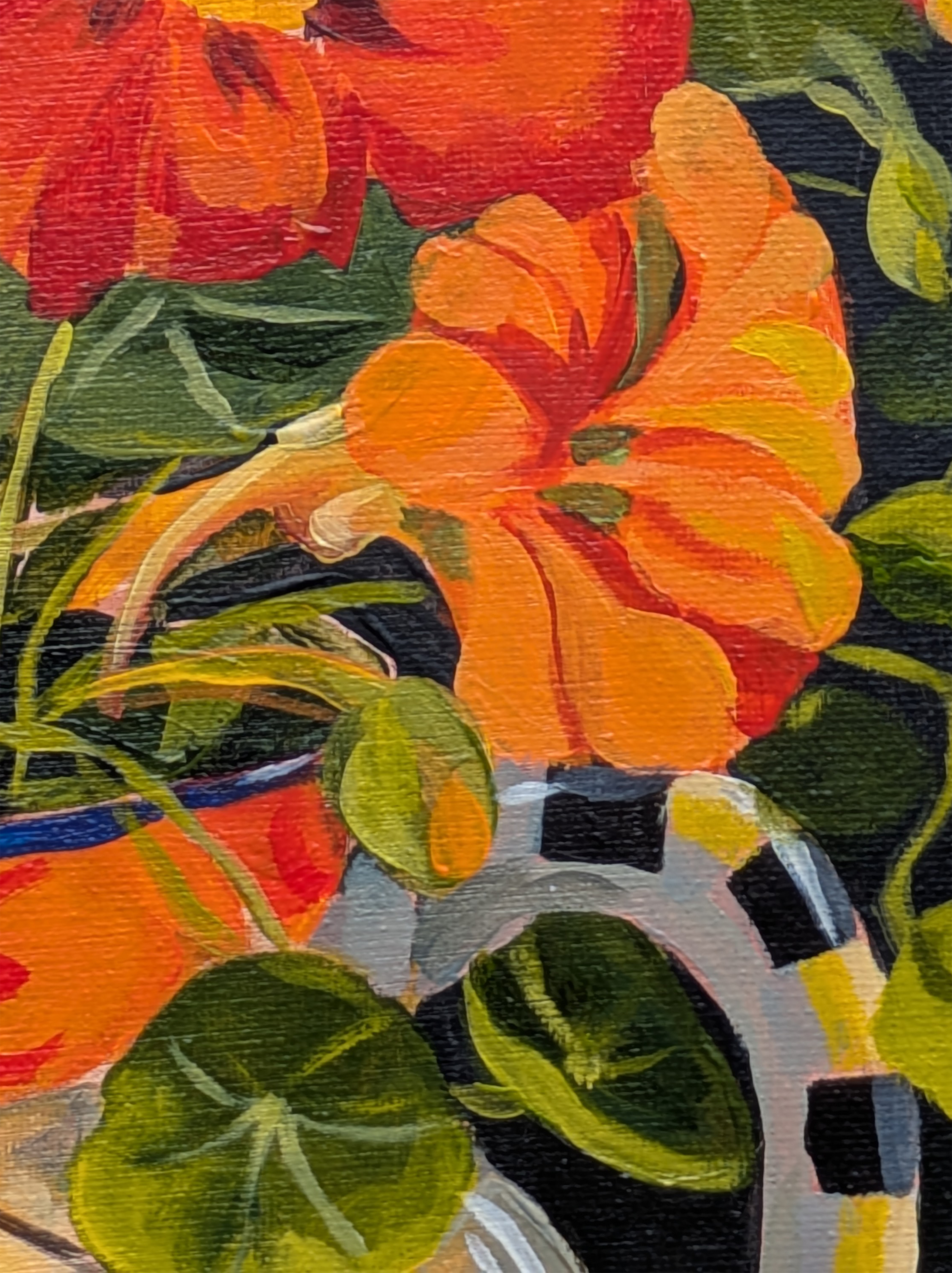 Anna's Nasturtiums — view 2